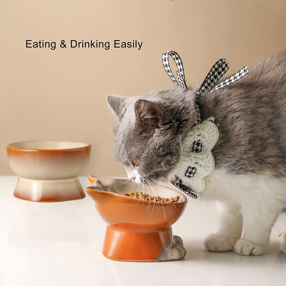 Nihow Elevated Cat/Dog Bowls Set : 5 Inch Ceramic Raised Cat Food & Water Bowl Set for Protecting