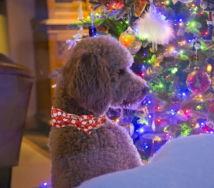 Unique Style Paws Christmas Day Dog Collar with Bow Christmas Tree Cotton Puppy Collars for Small