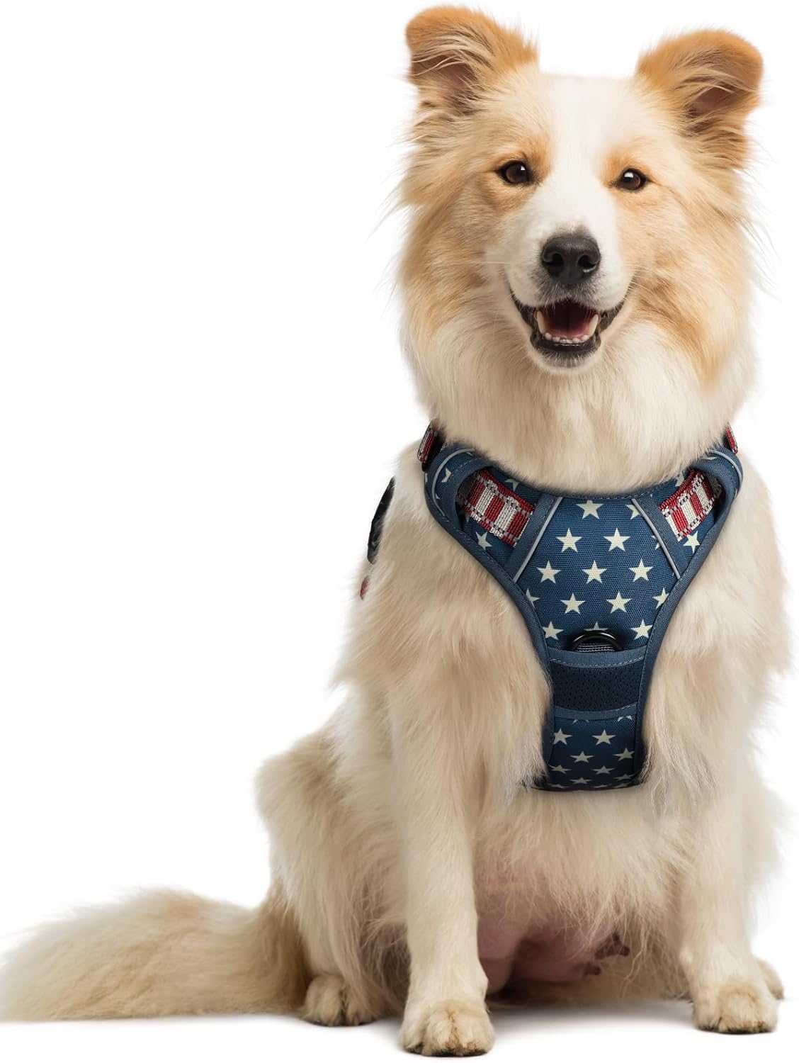 rabbitgoo Dog Harness No Pull with 2 Leash Clips, Adjustable Soft Padded, Reflective Oxford No