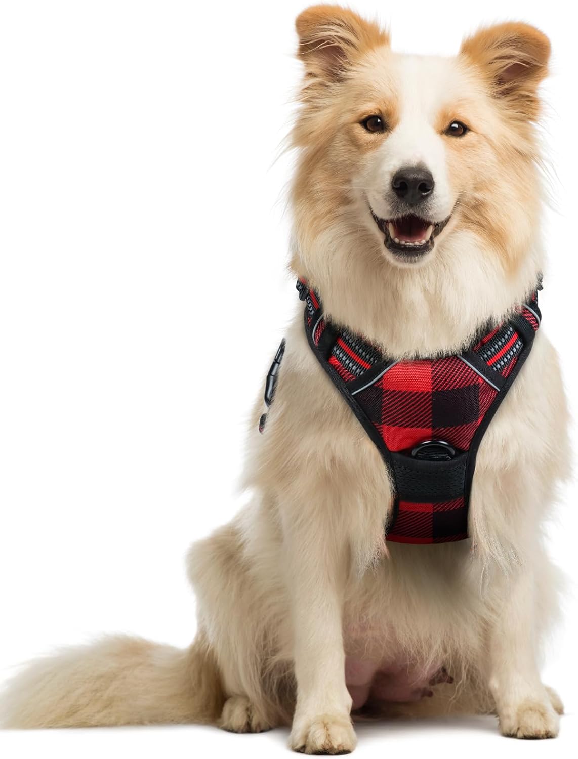 rabbitgoo Dog Harness No Pull with 2 Leash Clips, Adjustable Soft Padded, Reflective Oxford No