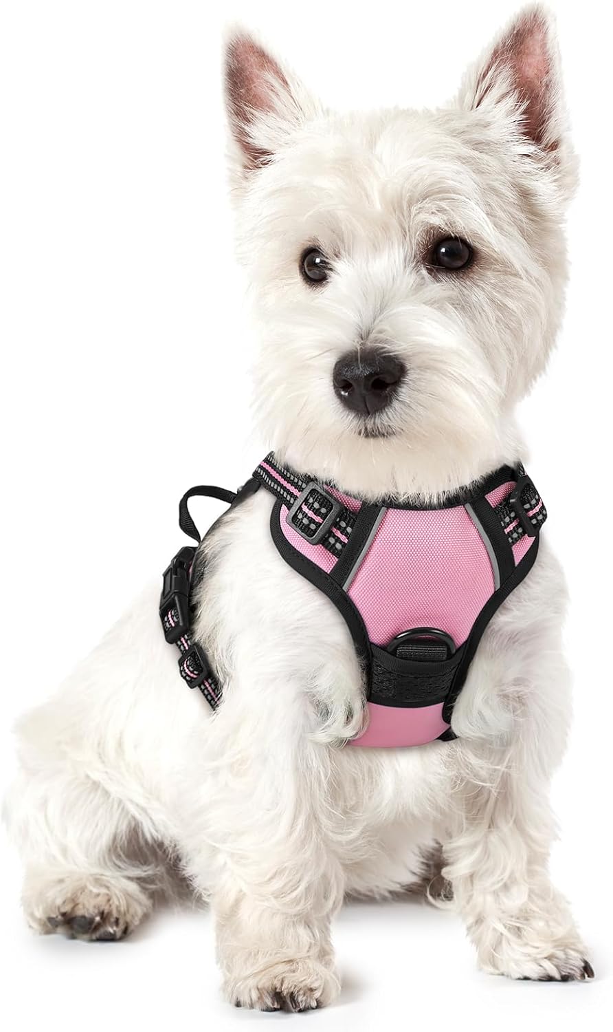 rabbitgoo Dog Harness No Pull with 2 Leash Clips, Adjustable Soft Padded, Reflective Oxford No