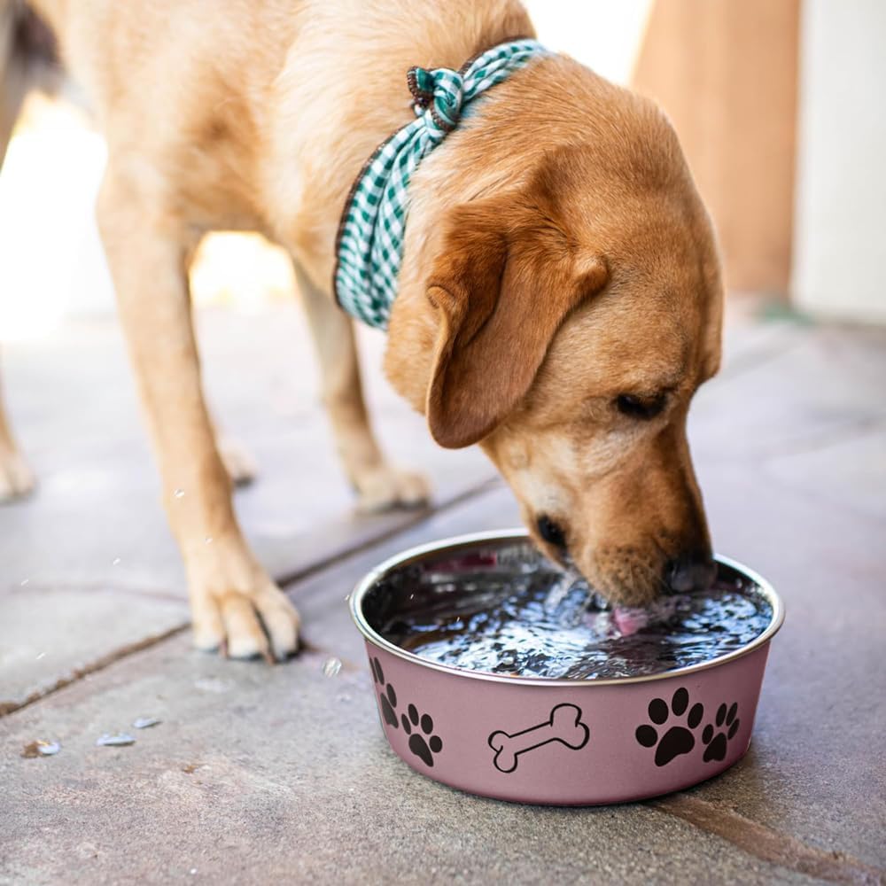 Loving Pets Bella Dog Bowls- Stainless Steel Dog & Cat Bowls - Spill Proof Dog Food Bowl, Cat Bowl
