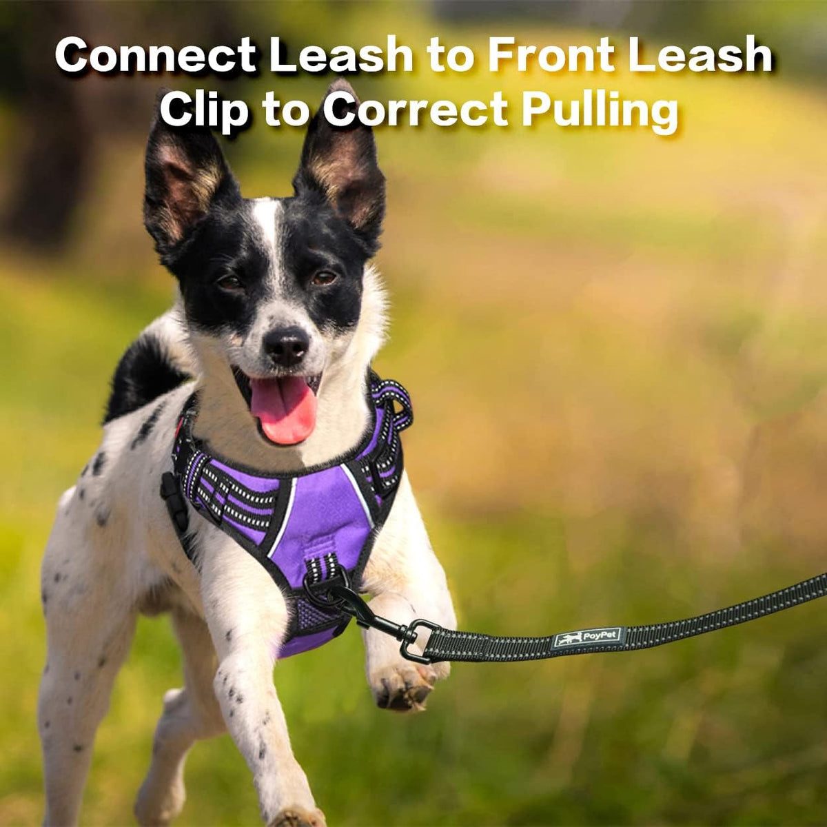 PoyPet No Pull Dog Harness, No Choke Front Clip Reflective Dog Vest with Soft Padded Vertical
