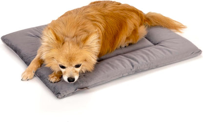 KindTail Dog Crate Pad - Soft Velvet, Reversible Bed - Machine Washable Kennel Mat for Pets up to