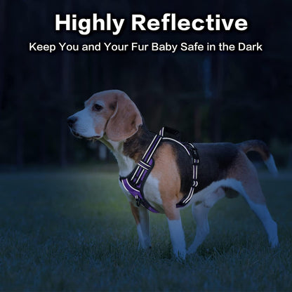 PoyPet No Pull Dog Harness, No Choke Front Clip Reflective Dog Vest with Soft Padded Vertical