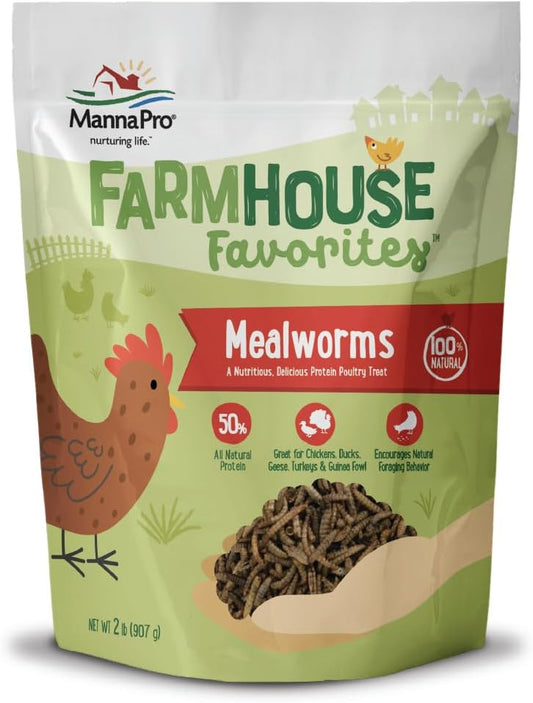 Manna Pro Farmhouse Favorites Mealworms Poultry Treat - Protein Treat for Chicken - Poultry