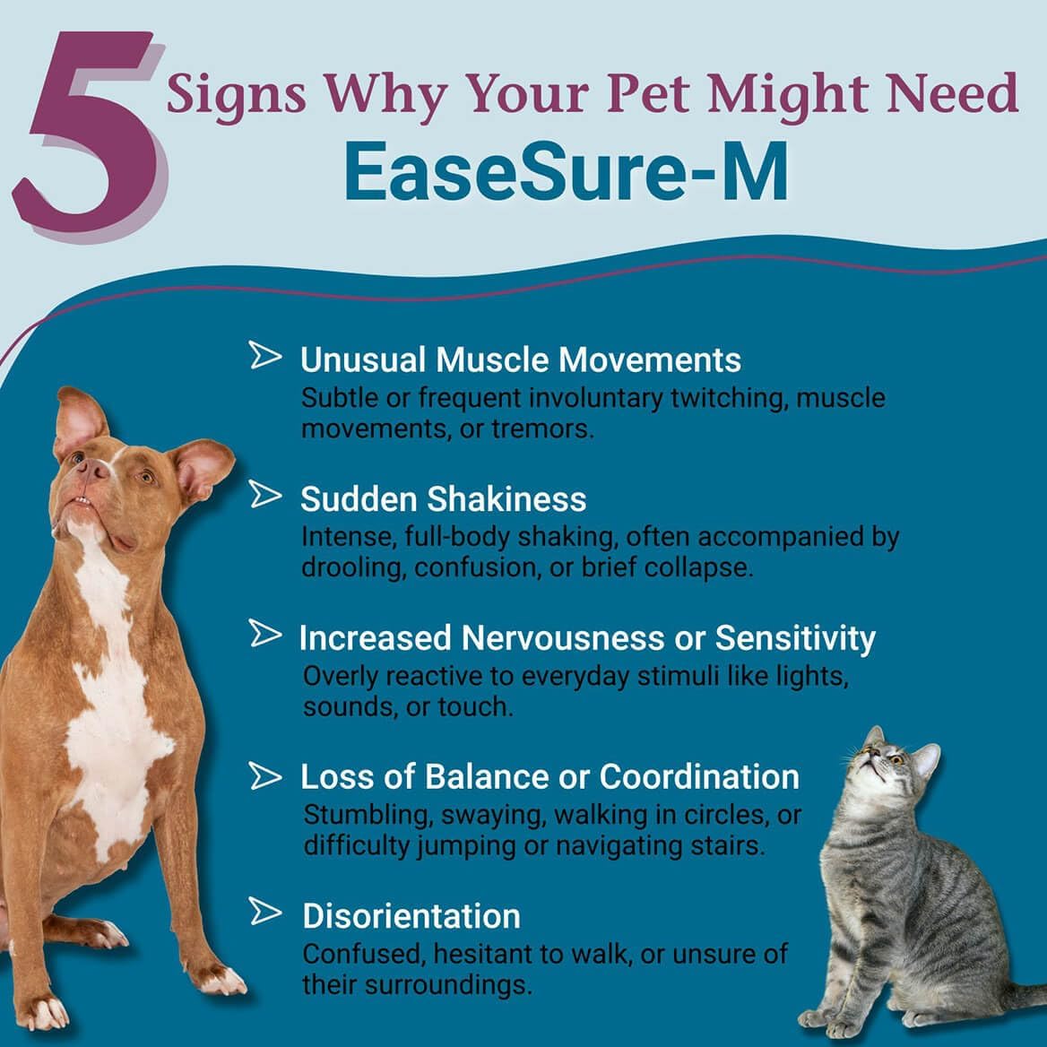 PetAlive EaseSure-M Calming Drops for Dogs and Cats – Natural Homeopathic Care for Nervous System