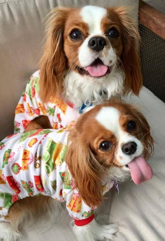 CuteBone Small Dogs Christmas Outfit Soft Puppy Onesies Pjs Dog Pajamas Pet Coat Cat Apparel Comfy