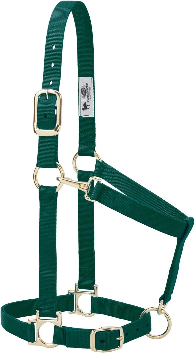 Weaver Leather Nylon Horse Halter, Padded and Adjustable, Chin and Throat Snap Hook Halters for
