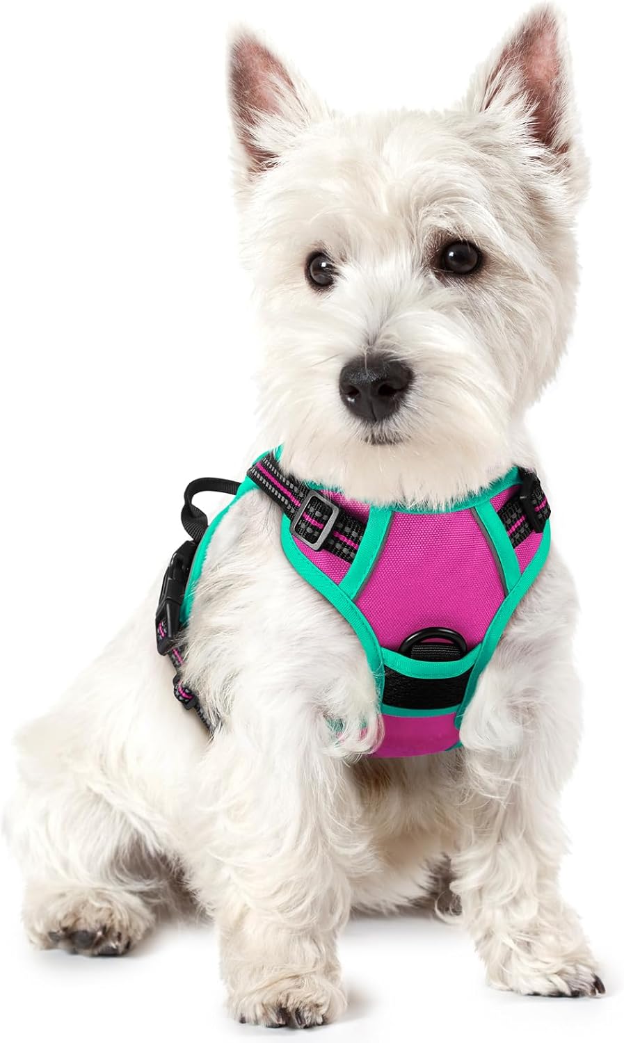 rabbitgoo Dog Harness No Pull with 2 Leash Clips, Adjustable Soft Padded, Reflective Oxford No