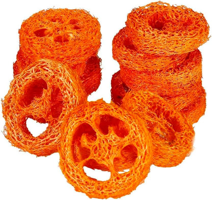 15 Pcs Fruit Flavored Loofah Slices Rabbit Chew Toys Guinea Pig Chew Toys Small Pet Chews Bunny