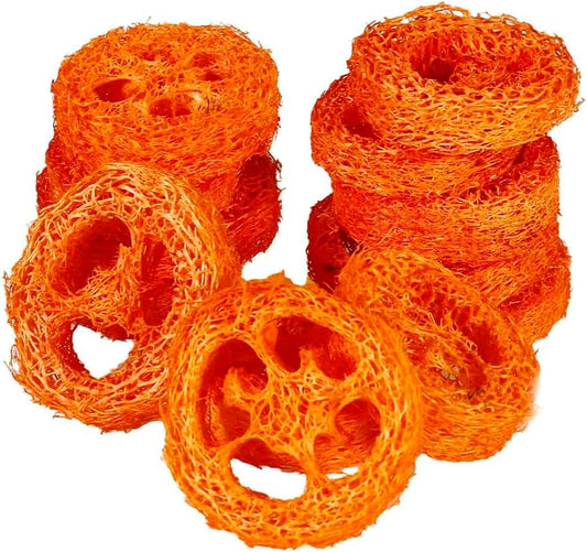 15 Pcs Fruit Flavored Loofah Slices Rabbit Chew Toys Guinea Pig Chew Toys Small Pet Chews Bunny