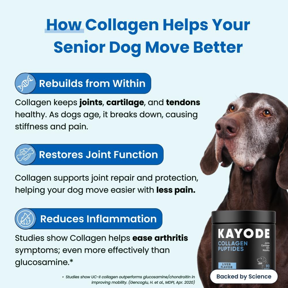 Collagen Puptides - Collagen for Dogs | Premium Dog Joint Supplement | 2X The Amount As Liquid