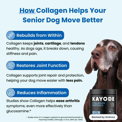 Collagen Puptides - Collagen for Dogs | Premium Dog Joint Supplement | 2X The Amount As Liquid