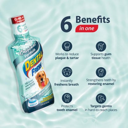 Dental Fresh Water Additive for Dogs, Original Formula, 17oz – Dog Breath Freshener and Teeth