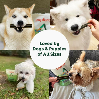 Pupford Dental Chews for Dogs, All-Natural 4-Inch Sticks for Plaque, Tartar & Bad Breath, Grooved