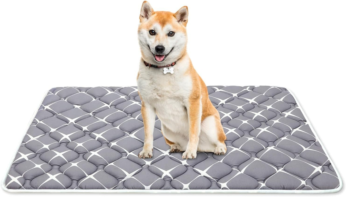 Bubble bear Dog Crate Mat - Ultra Soft, Washable & Anti-Slip Kennel Pad for Small/Medium/Large