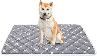 Bubble bear Dog Crate Mat - Ultra Soft, Washable & Anti-Slip Kennel Pad for Small/Medium/Large