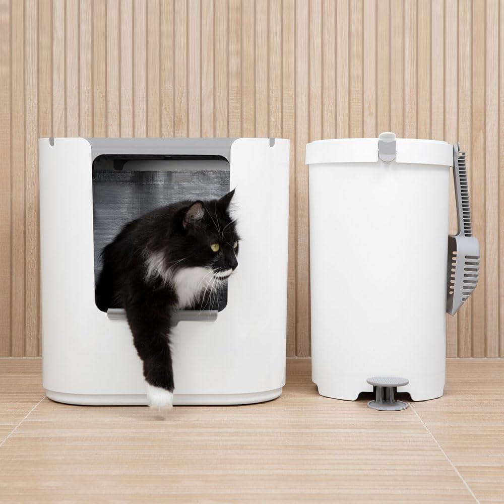 Modkat® XL Litter Box, Top or Front-Entry Configurable, Full Height Seamless Base, Reusable Litter