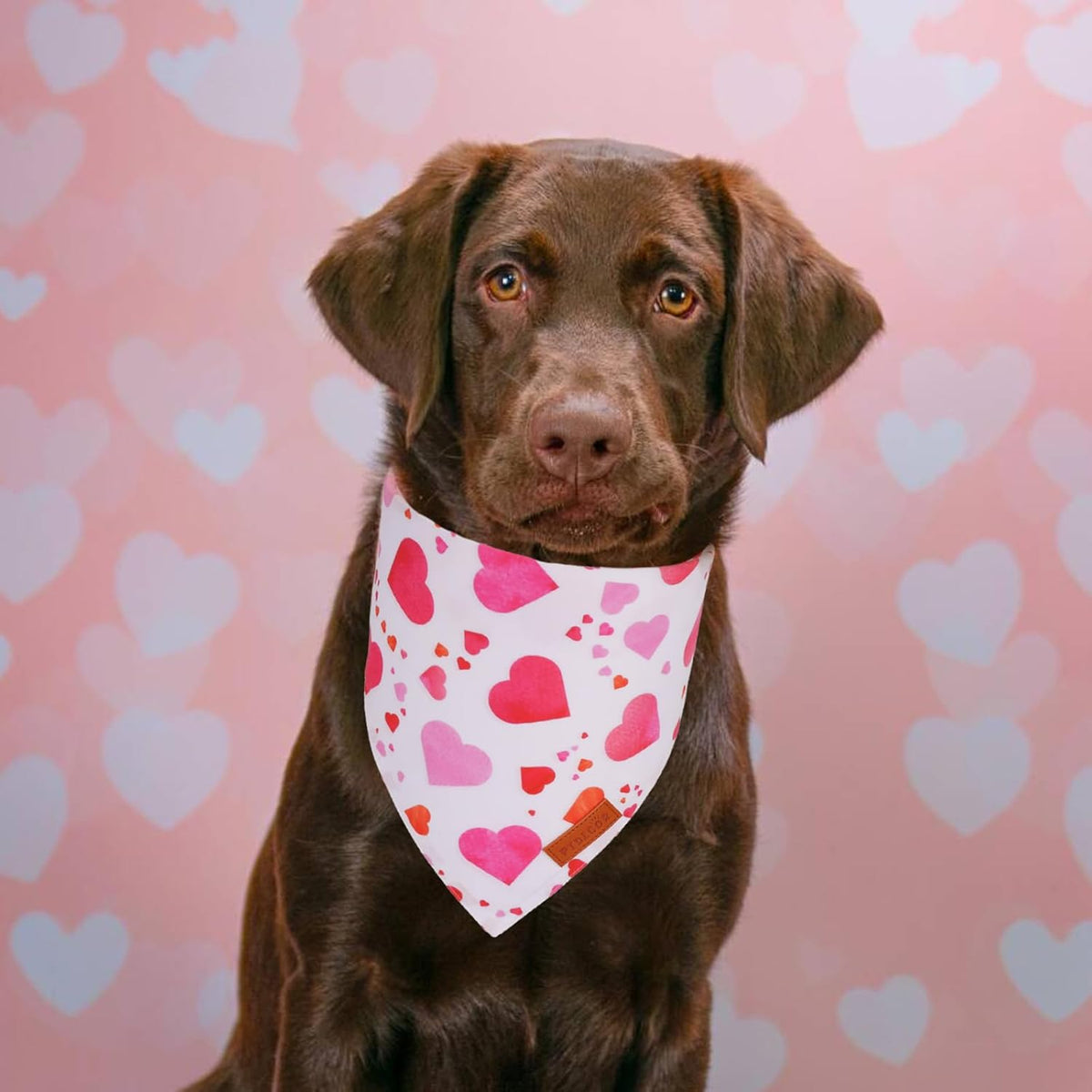 PTDECOR Valentine Dog Bandana, White Purple Love Heart Design Reversible Dog Scarf, Triangle