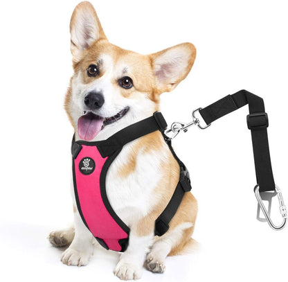 Dog Seat Belt, Safety Vest Dog Car Harness with Adjustable Buckle Dog Seat Belt for Vehicle Nylon