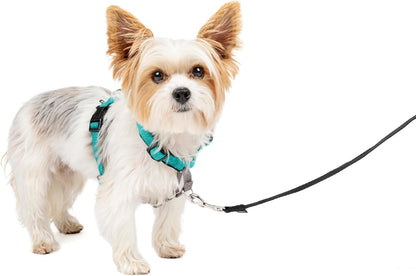 PetSafe 3 in 1 Dog Harness - No Pull Solution for Dogs - Reflective Dog Harness - Front D-Ring Clip
