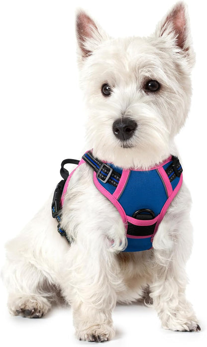 rabbitgoo Dog Harness No Pull with 2 Leash Clips, Adjustable Soft Padded, Reflective Oxford No