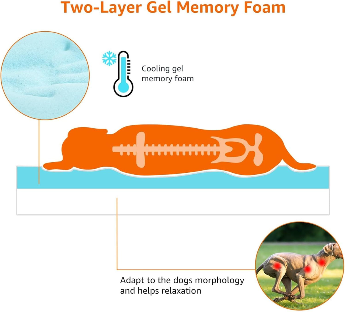 Amazon Basics Dog Bed with Cooling Gel Memory Foam, Pressure-Relief Support for Dogs up to 50lbs