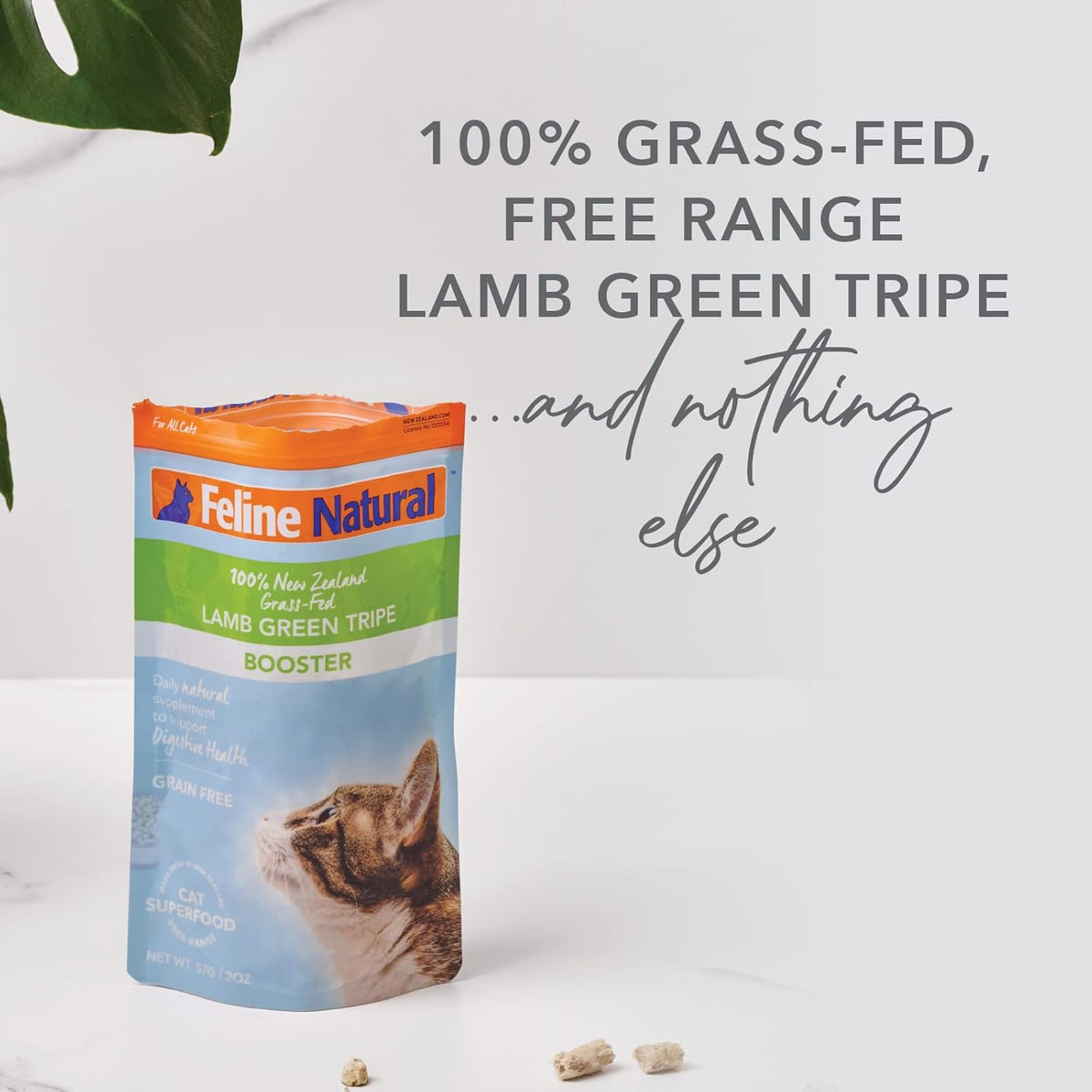 Feline Natural Freeze Dried Lamb Green Tripe Cat Food Supplement - Grain-Free High Protein Natural