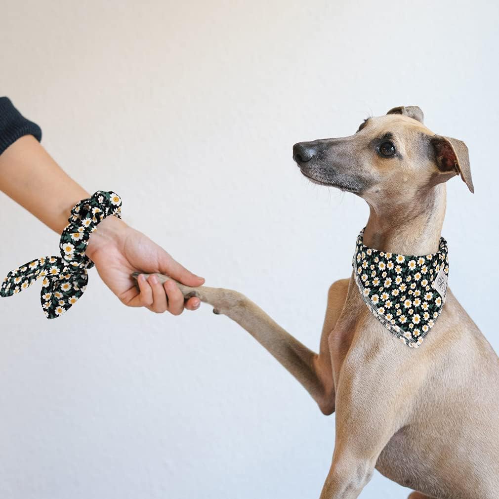 E-Clover Dog Bandanas & Matching Scrunchie Set Girl Dog Scarf Bibs with Bow Scrunchie for Medium