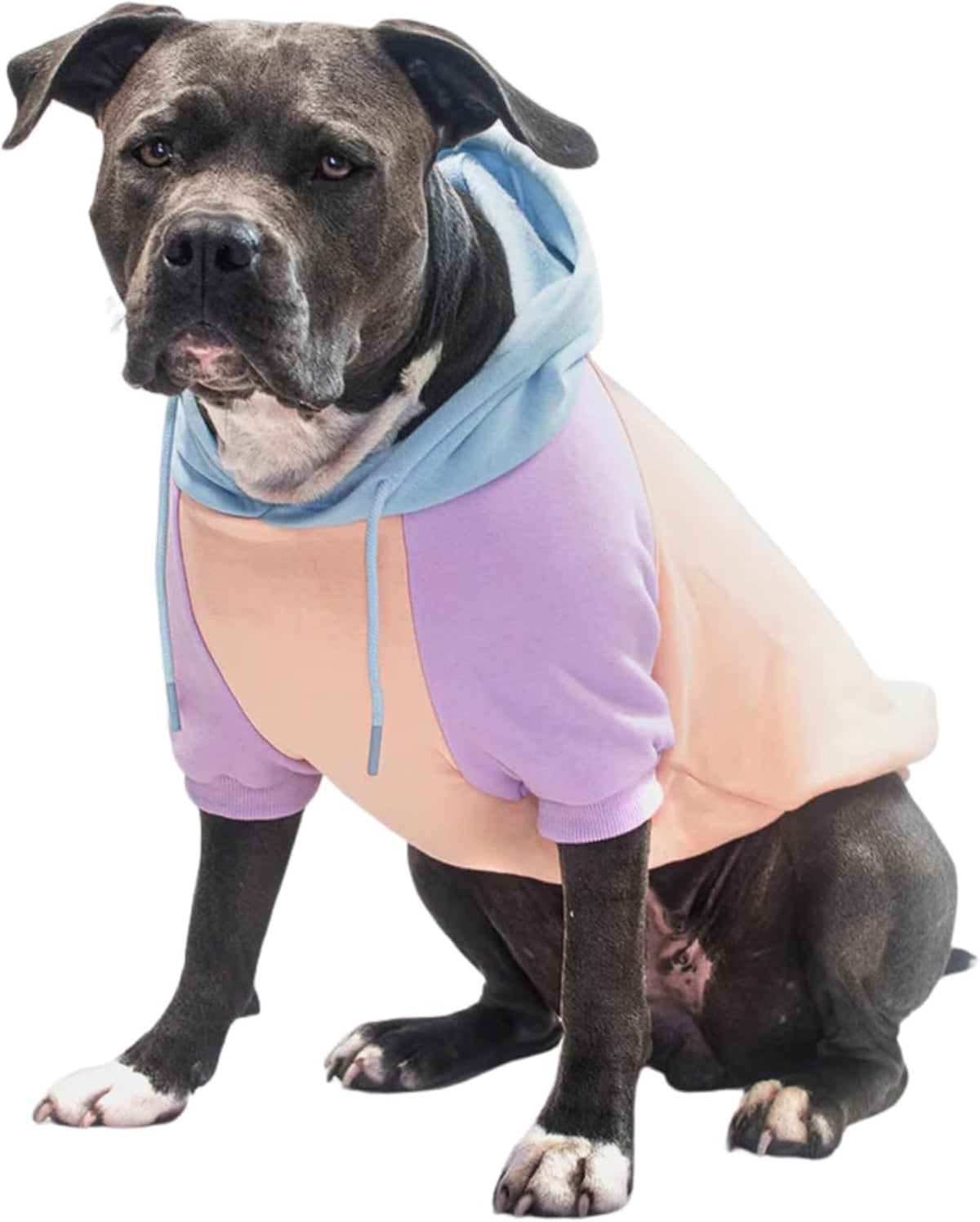 Spark Paws Dog Hoodie – Premium Dog Sweater for Small, Medium, and Large Dogs | Warm Outfits for