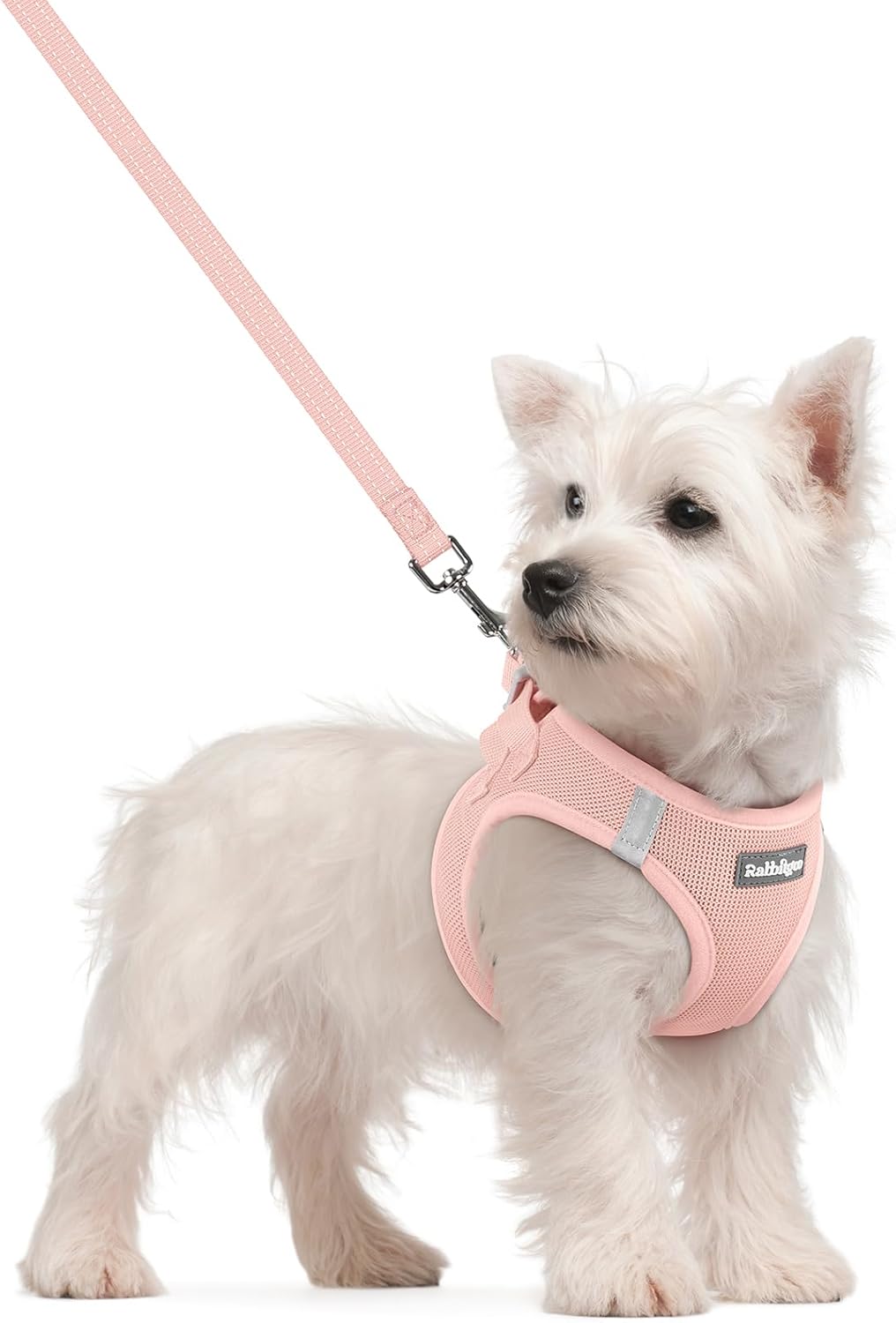 rabbitgoo Dog Harness Small Sized and Leash Set, Step in Soft Light Puppy Vest, Breathable Mesh Pet
