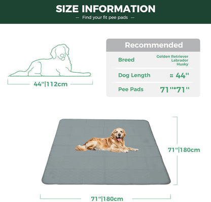 FXW Washable Pee Pads for Dogs, Puppy Pads with Super Absorbent, Specifically Designed for FXW