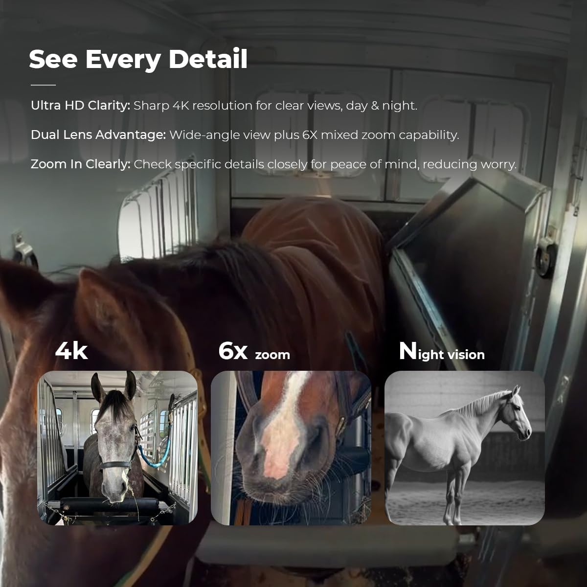 NomadEye Wireless Horse Trailer Camera – 4K Live Video & 2-Way Audio – WiFi Connect – Magnetic