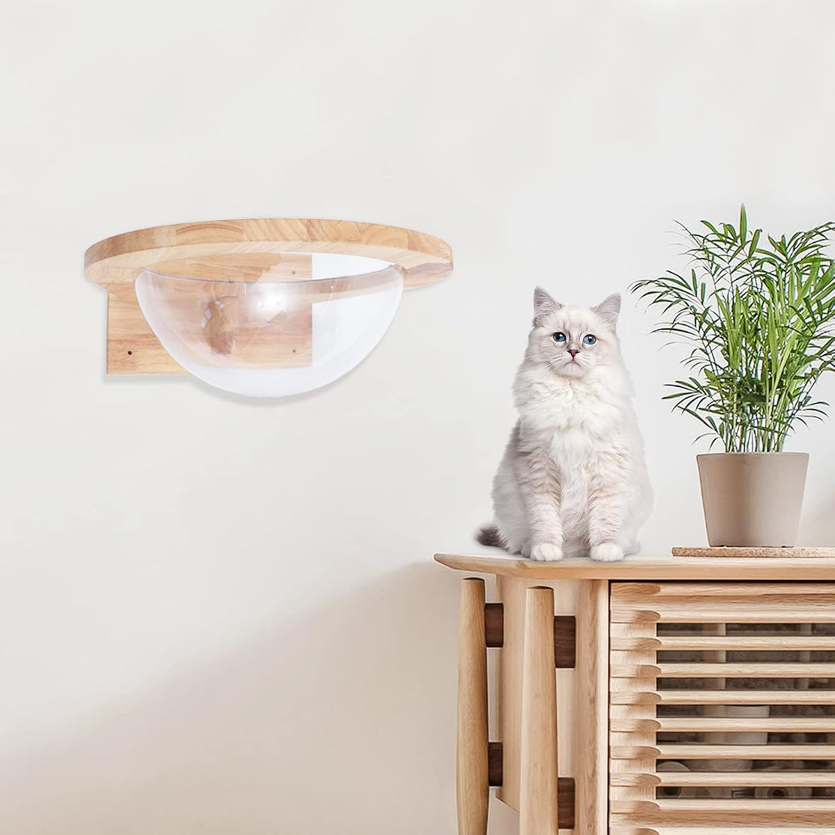 Wooden Cat Hammock, Clear Space Capsule Cat Bed, Wall-Mounted Kitten Walls Shelves Kitty Beds Small