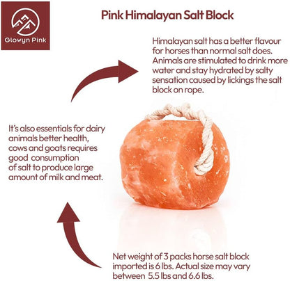 Himalayan Mineral Salt Block on Rope Pack of 4 (3lbs each) – 100% Organic Pink Salt Lick for Horses