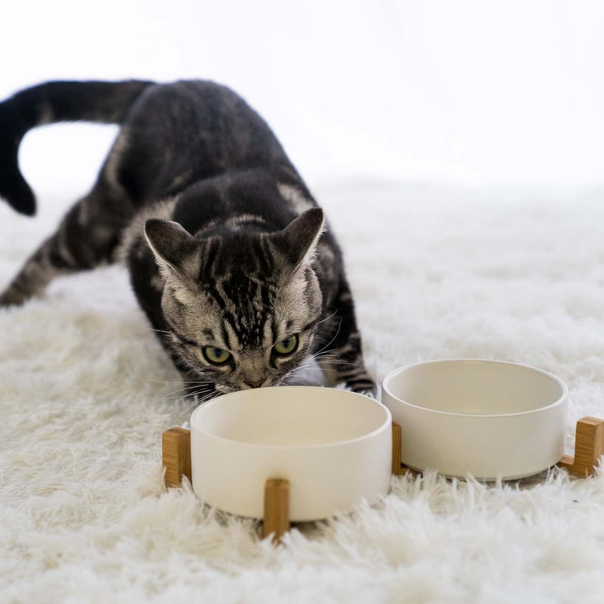 SPUNKYJUNKY Ceramic Dog and Cat Bowl with Wood Stand Non-Slip Matte Glaze Weighted Food Water Set