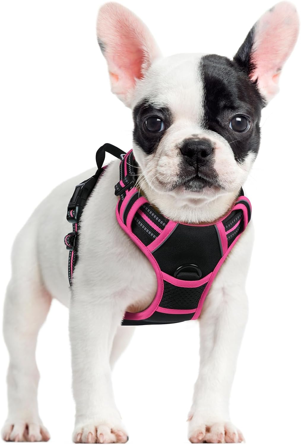 rabbitgoo Dog Harness No Pull with 2 Leash Clips, Adjustable Soft Padded, Reflective Oxford No