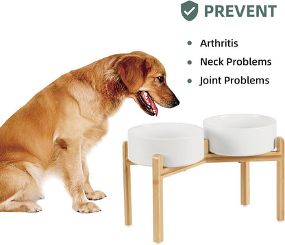 Ceramic Raised Double Bowls Set with Stand, Food & Water Bowls for Large Breed Dogs, Weighted Dog