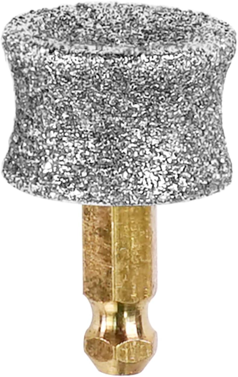 Diamond Dog and Cat Nail Grinder Replacement Heads/Bit for Casfuy, Electric File Diamond Head for