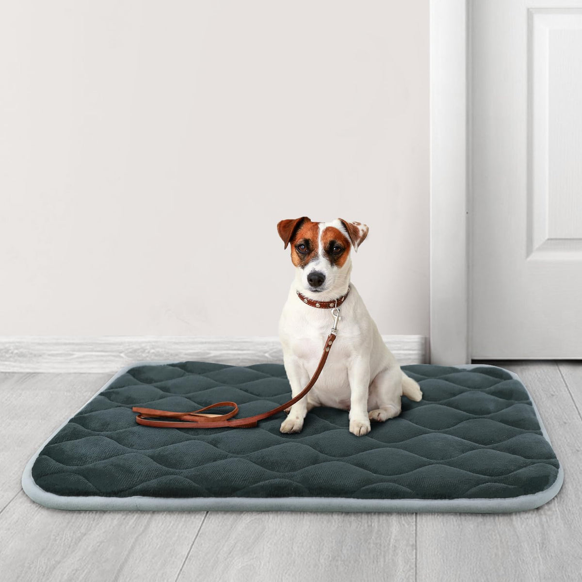 furrybaby Dog Bed Mat Flat Crate Mat with Anti-Slip Bottom Machine Washable Pet Kennel Pad for Dog