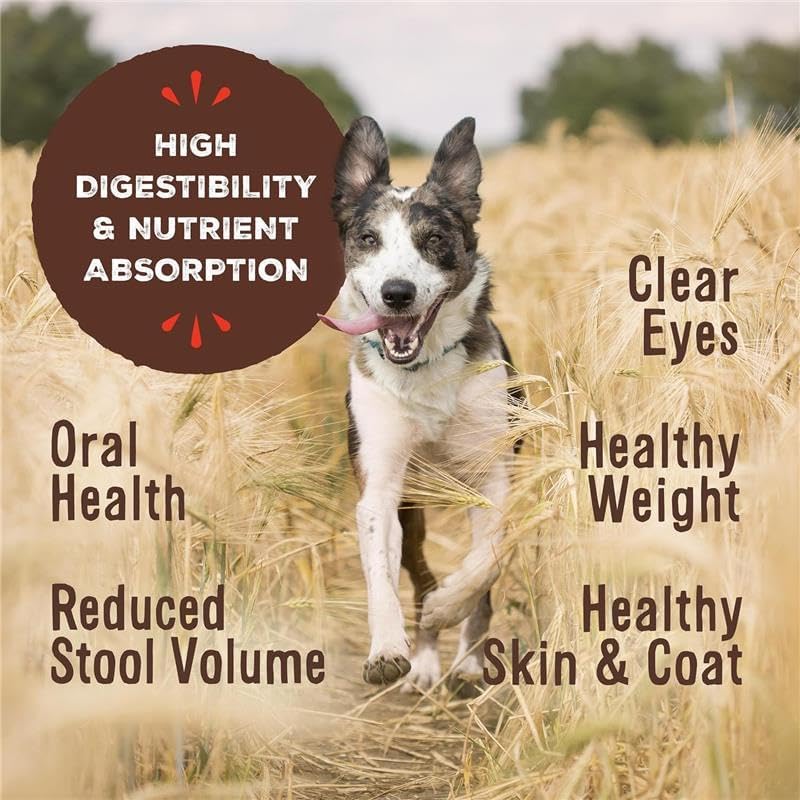 Primal Freeze Dried Raw Dog Food Nuggets, Rabbit, Complete & Balanced Meal, Also Use as Topper or