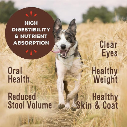 Primal Freeze Dried Raw Dog Food Nuggets, Rabbit, Complete & Balanced Meal, Also Use as Topper or