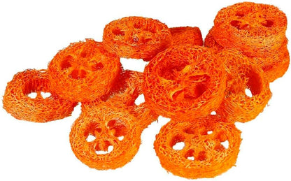 15 Pcs Fruit Flavored Loofah Slices Rabbit Chew Toys Guinea Pig Chew Toys Small Pet Chews Bunny