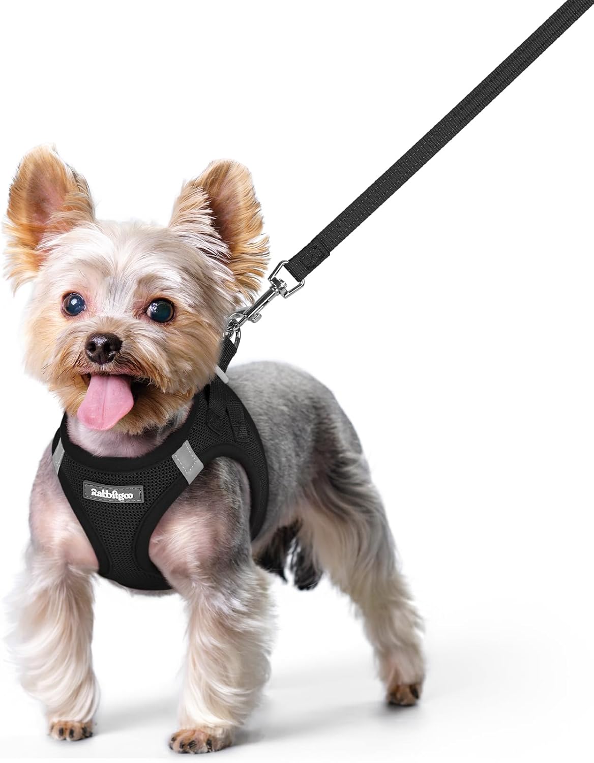rabbitgoo Dog Harness Small Sized and Leash Set, Step in Soft Light Puppy Vest, Breathable Mesh Pet