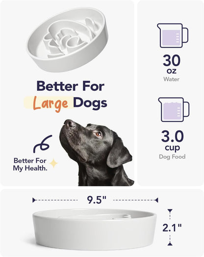 LE TAUCI Slow Feeder Dog Bowls Ceramic,3 Cups Slow Feeding Dog Bowl Medium Large Breed, Pet Bowl