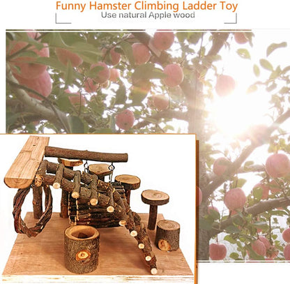 Tfwadmx Wooden Hamster Playground Platform, Small Animals Activity Set Climbing Bridge Ladder Ramps