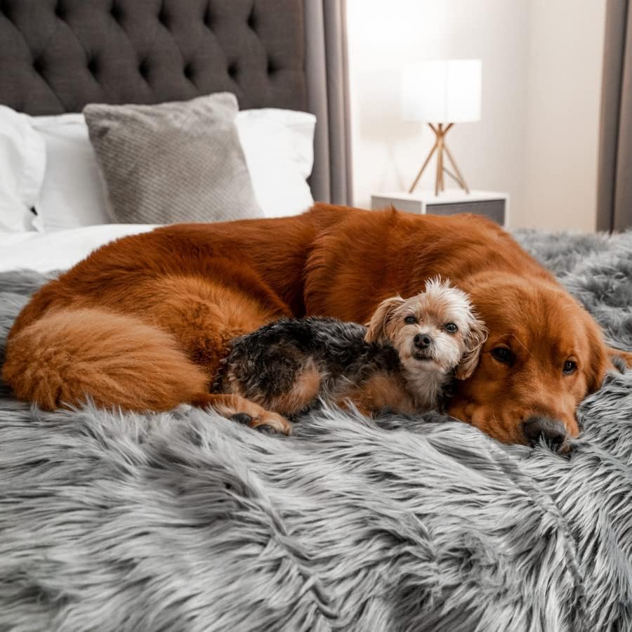 PupProtector Waterproof Throw Blanket for Dogs and Cats, Pet Blanket Cover for Couches, Sofas