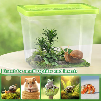 48 Pack Small Plastic Reptile Carrier Tarantula Enclosure Breeding Box Hatching Container for