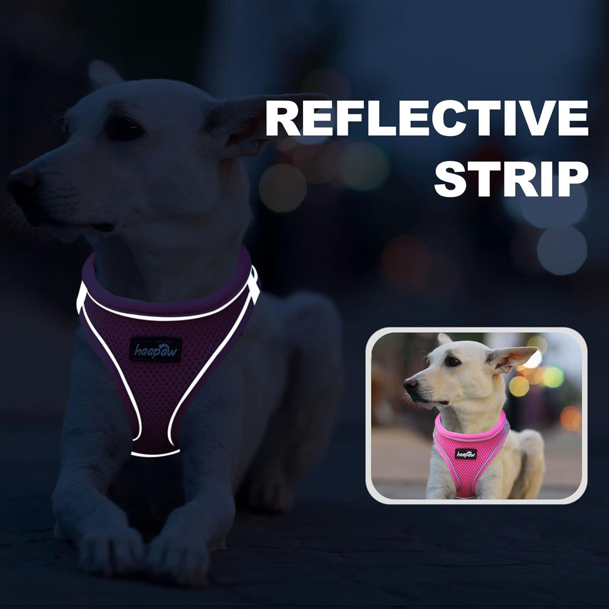 haapaw Dog Harness with Leash Set, No Pull Adjustable Reflective Step-in Puppy Harness with